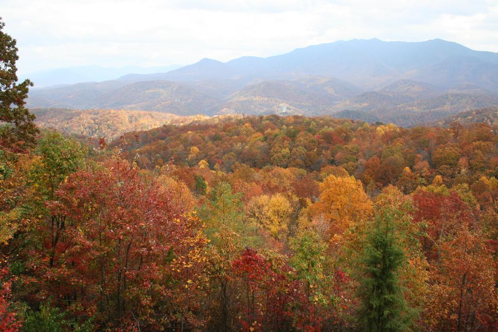 The Foxtrot Bed And Breakfast Gatlinburg Exterior foto